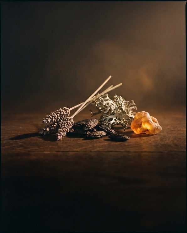 Fougère fragrances